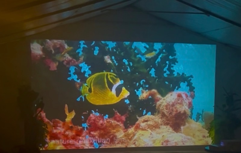 Underwater scene projected inside a party tent